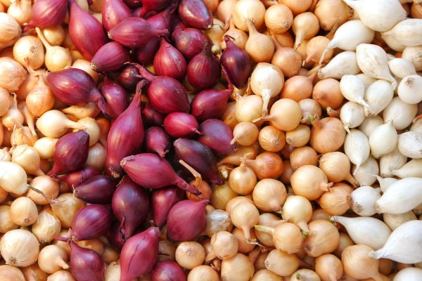 Оптимальные стратегии с krab3.cc